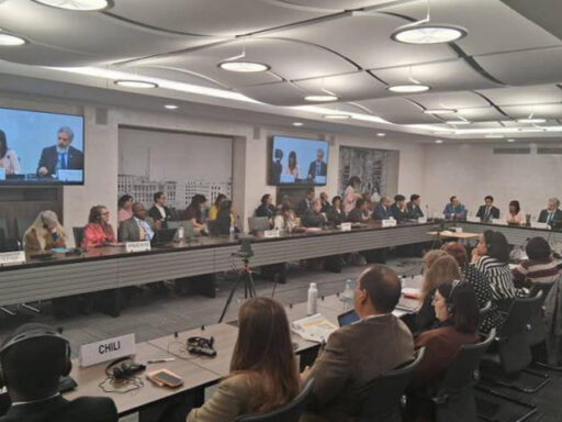 Cumplimentó viceministra cubana amplia agenda de trabajo en Ginebra