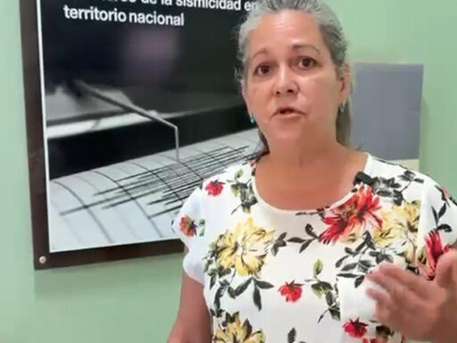 Terremotos: misma área y formas constructivas, pero diferentes daños