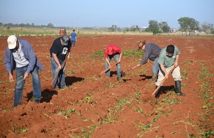 Asistió Primer Ministro a jornada productiva en Palacio de la Revolución (+Fotos)