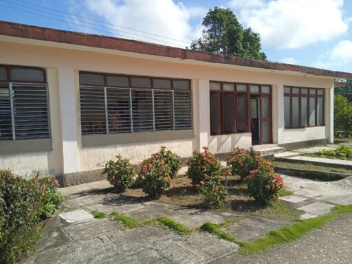 Cuatro décadas de luz entre estanterías: la Biblioteca del Tercer Frente celebra su legado vivo (+Fotos)