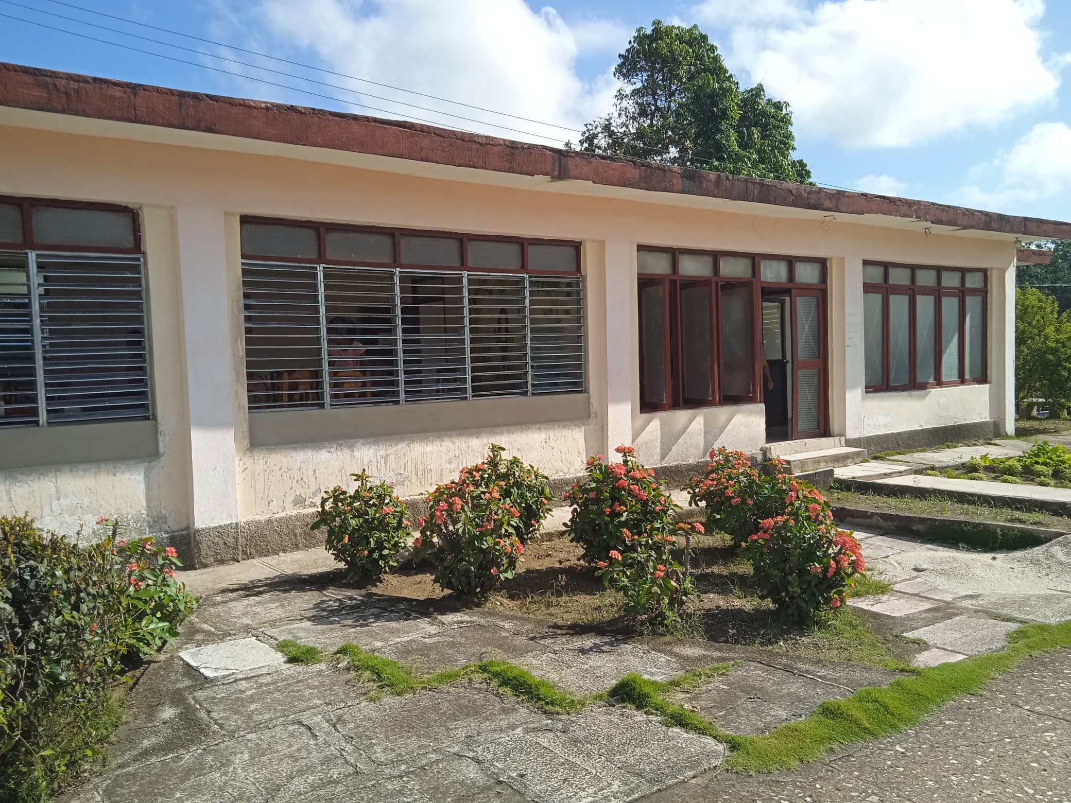 Cuatro décadas de luz entre estanterías: la Biblioteca del Tercer Frente celebra su legado vivo (+Fotos)