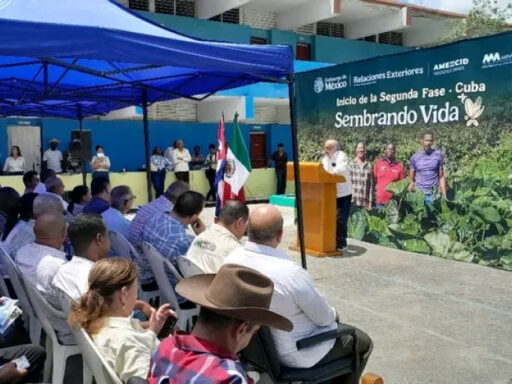 Sembrando Vida, un proyecto que en Santiago de Cuba tiene la ayuda mexicana