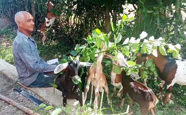 Como Jorge Gómez Garzón en Chivirico los hay miles en Guamá