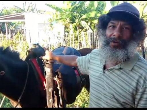 Diez kilómetros de coraje y tierra: Narvael Silva, el campesino que siembra soberanía en Guamá