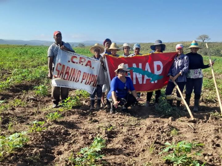 El mando femenino que hace vibrar la tierra de San Luis(+Fotos)