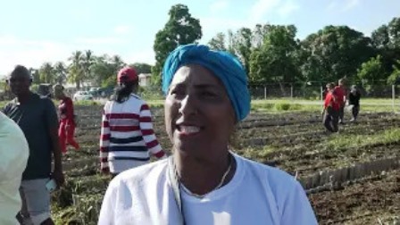 Desarrollan en Segundo Frente jornada masiva de trabajo productivo