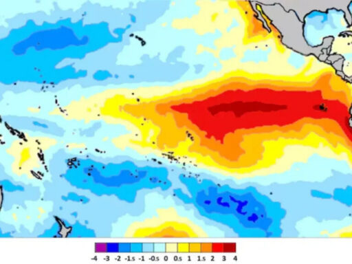 FAO y PMA alertan una posible crisis alimentaria por fenómeno El Niño