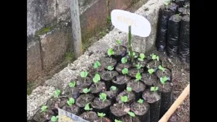 Desarrollan en Tercer Frente uso experimental de nuevo bioproducto para el café