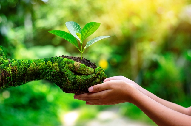 Política ambiental sigue siendo una prioridad del Estado cubano