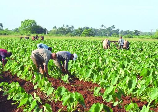 Transformaciones económicas apuestan por un tejido empresarial más dinámico