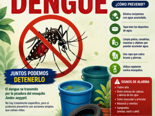 Dengue: una amenaza que se puede prevenir