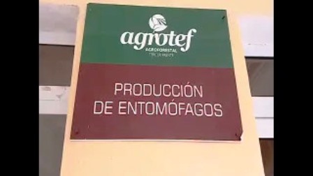Aportes del centro de reproducción de entomófagos y entomopatógenos de Tercer Frente