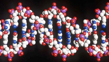 Completan el genoma humano con datos clave para la detección precoz de enfermedades