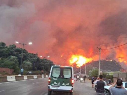 Canciller cubano lamenta víctimas por incendios forestales en Argelia