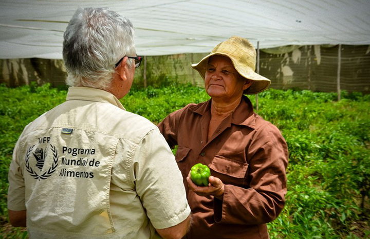 Colaboración internacional resaltó en agenda informativa desde Holguín