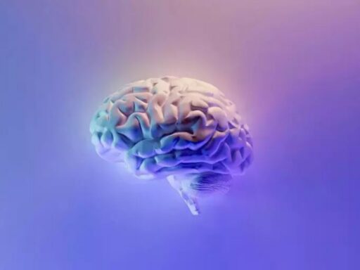 El cerebro no es uno solo, son dos órganos diferentes unidos