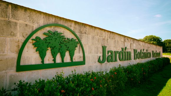 Jardín Botánico Nacional crea alianzas para preservar y desarrollar el tesoro de sus colecciones