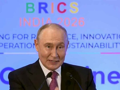 Putin participa en el Foro Empresarial de los Brics en Nueva Delhi