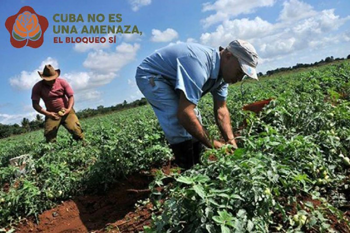 Las sanciones estadounidenses impactan en las transformaciones económicas