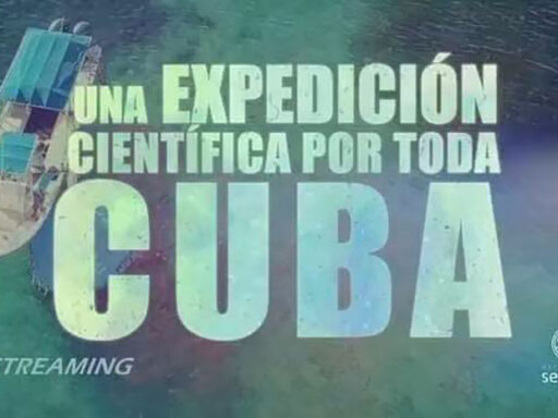 Presentó Taller resultados del Bojeo a Cuba