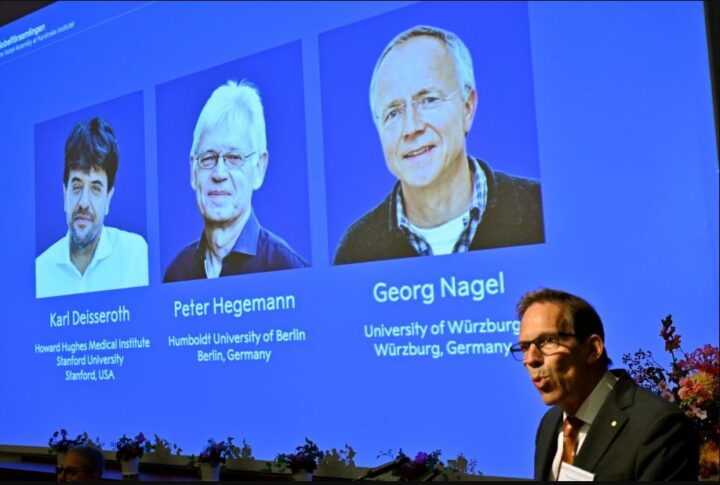 El Nobel de Medicina premia a 3 científicos por investigar la actividad cerebral