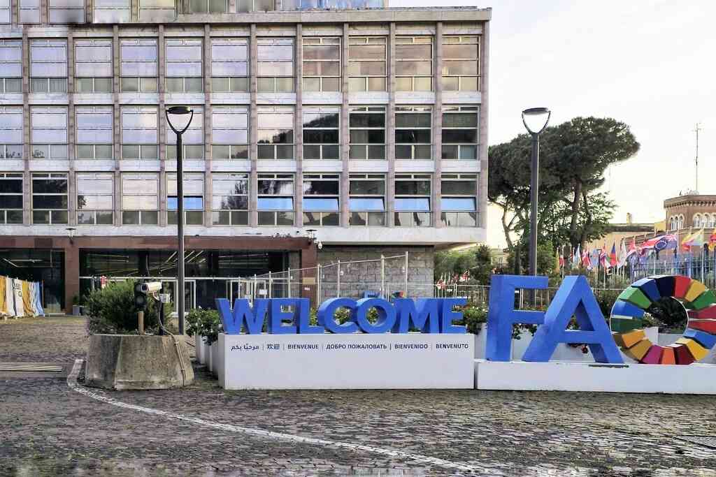 FAO por la innovación y la inversión ante el desafío del hambre