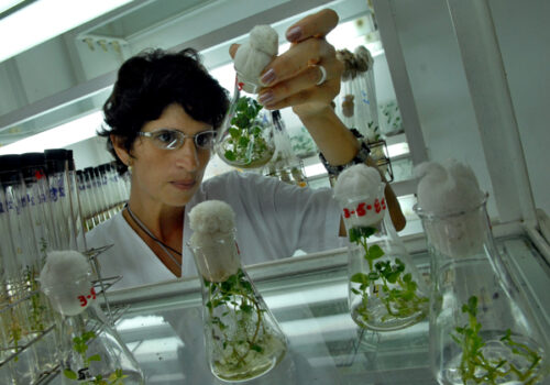 Llueva, truene o relampaguee, haremos ciencia en Cuba