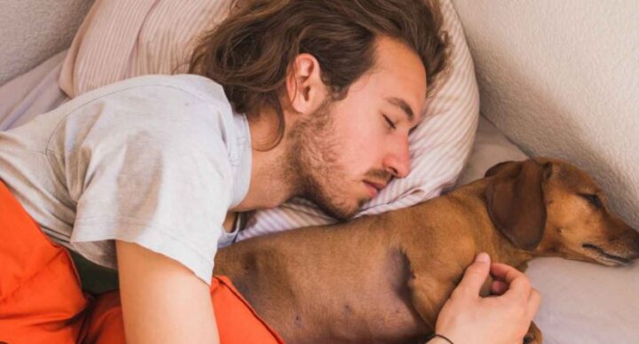 Dormir con el perro no afecta la calidad del sueño