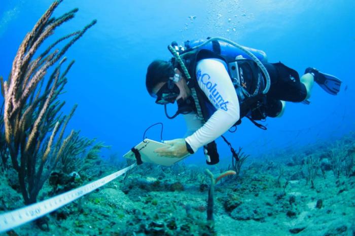 Arrecifes coralinos enfrentan impactos por calentamiento del mar