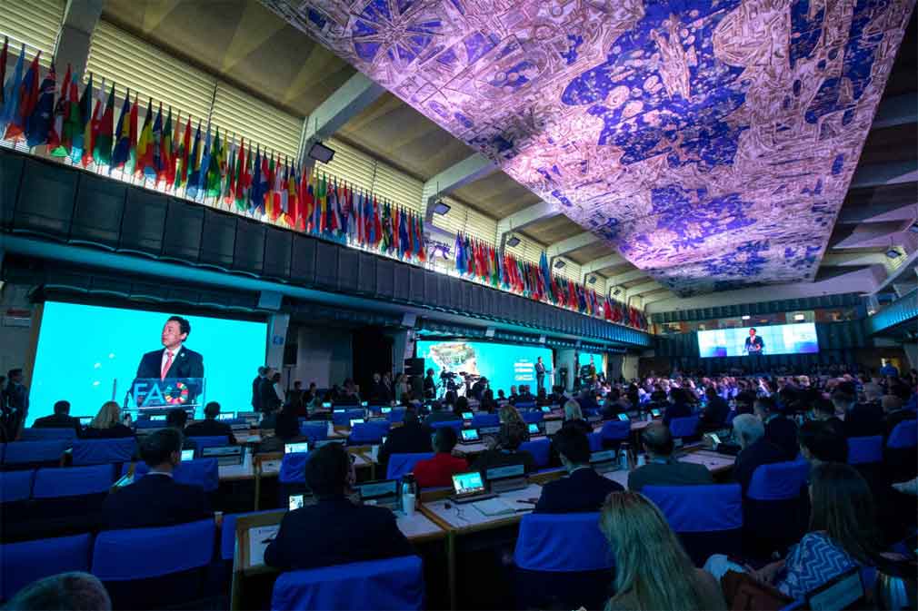 FAO insta a poner la innovación al servicio de las personas