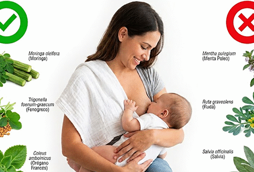 Medicina natural y tradicional: Plantas medicinales y lactancia materna