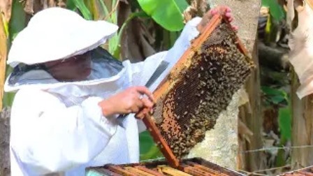 Reconocen en Santiago de Cuba labor productiva de la mujer rural