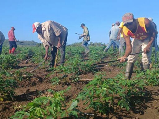 Transformar es producir